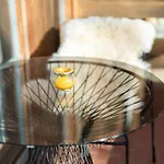 Le Balcon Des Alpes L Modernist L Cosyhome *