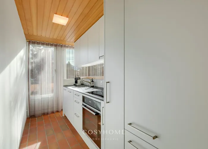 Le Balcon Des Alpes L Modernist L Cosyhome