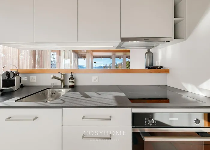 Le Balcon Des Alpes L Modernist L Cosyhome *